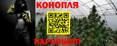 таблы Будённовск
