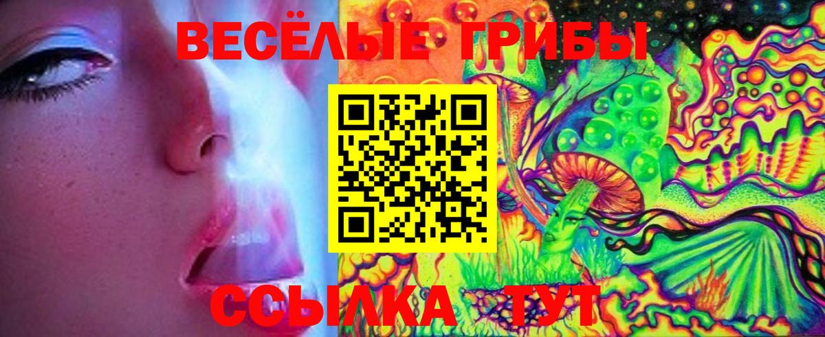 Приморско-Ахтарск  Псилоцибиновые грибы GOLDEN TEACHER  Вход с VPN 