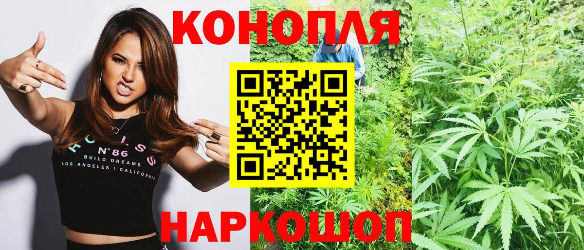Канабис гибрид Приморско-Ахтарск